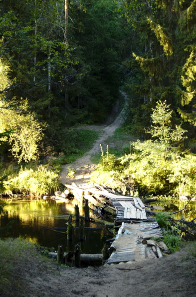 _DSC9644.jpg