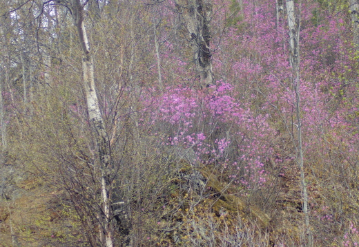  DSC7571