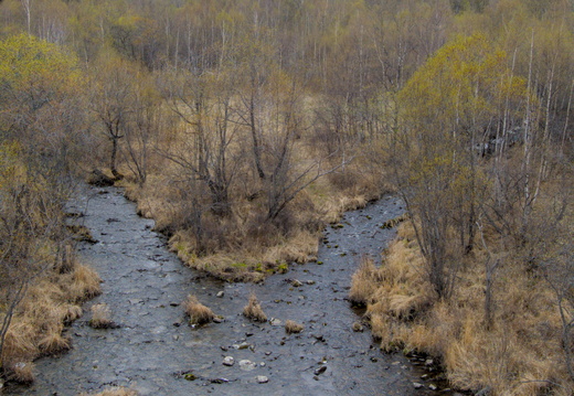  DSC7567