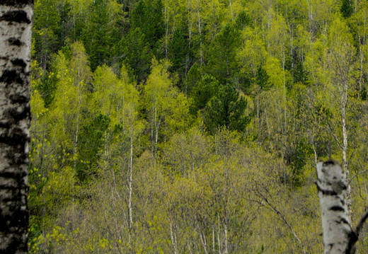  DSC7538